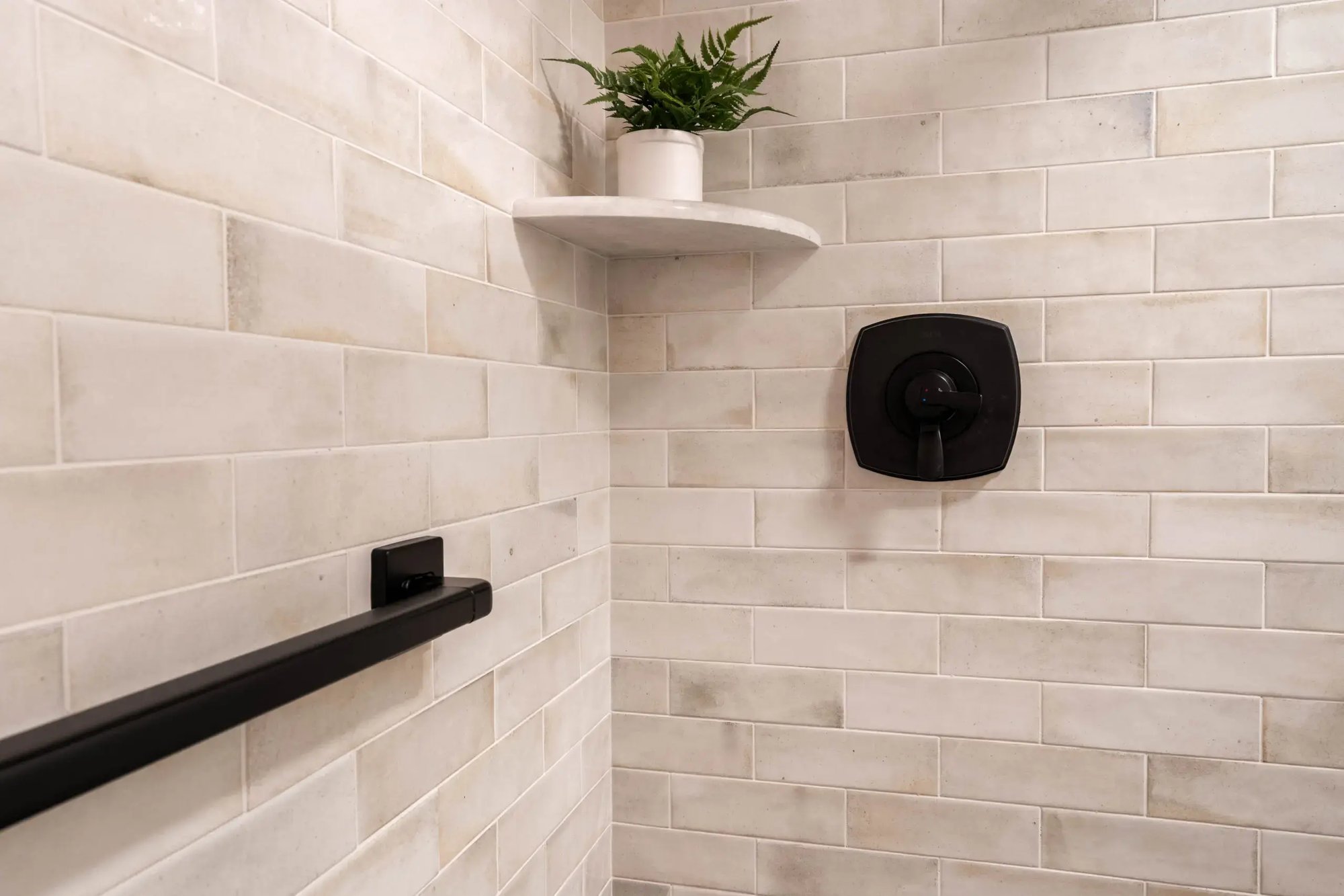 Edina Bathroom Remodel