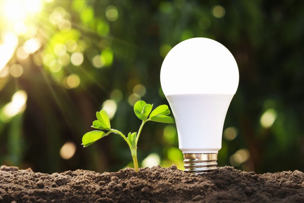 LED light bulb planted in soil representing energy-efficiency